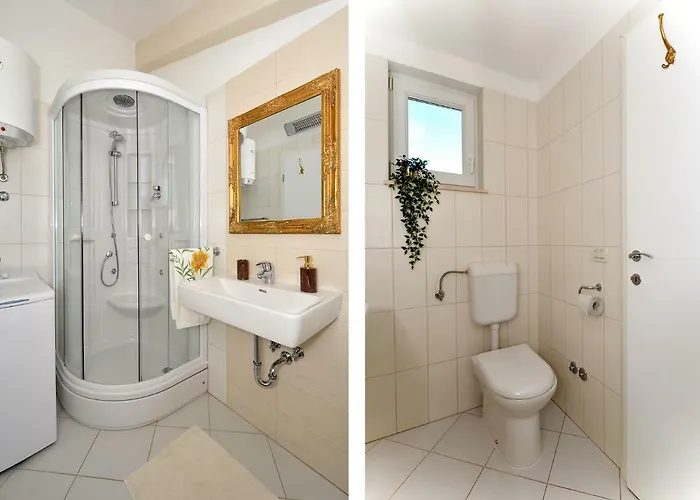 Mar Deluxe * トロギール