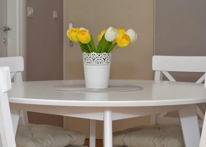 Mar Deluxe トロギール